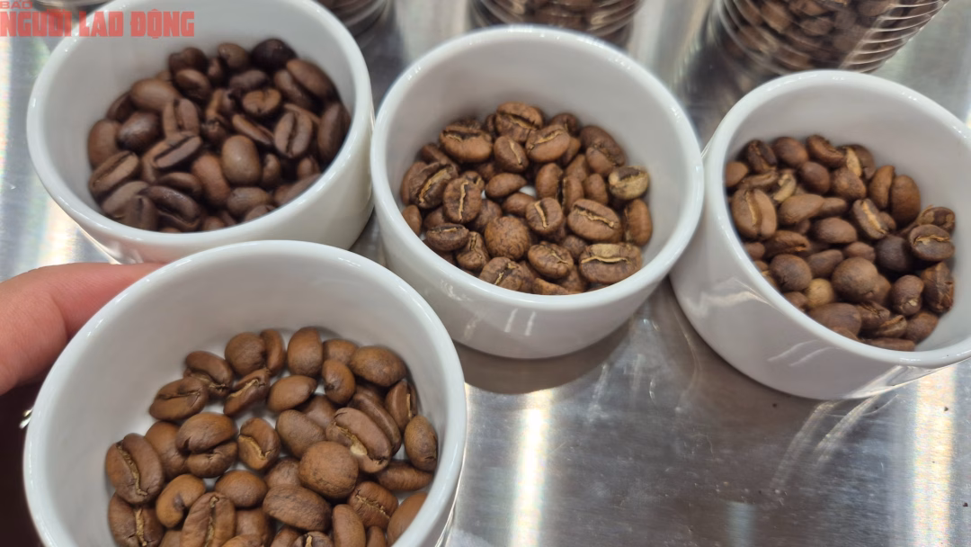 Biến động gi&aacute; c&agrave; ph&ecirc; h&ocirc;m nay g&acirc;y &aacute;p lực l&ecirc;n n&ocirc;ng d&acirc;n Việt Nam