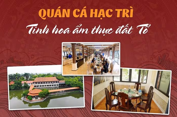 Quán cá Hạc Trì: Điểm đến ẩm thực trứ danh tại vùng đất Tổ Phú Thọ