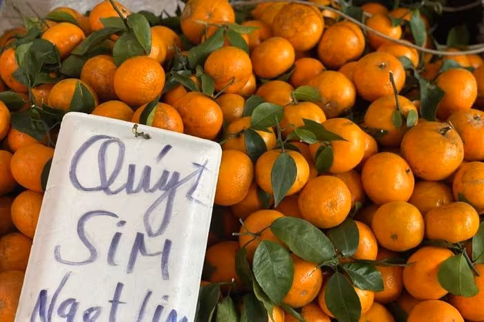 Sức hút quýt sim cuối vụ: Khi chất lượng chạm đỉnh, giá thành chạm đáy