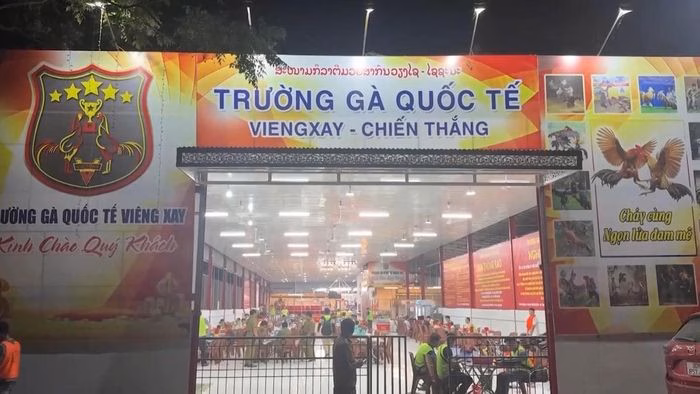 Lực lượng chức năng triệt ph&aacute; đường d&acirc;y đ&aacute;nh bạc xuy&ecirc;n quốc gia quy m&ocirc; lớn
