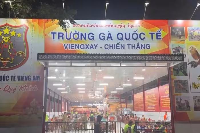 Triệt phá ‘trường gà quốc tế Viêng Xay’: 1.200 tỷ đồng và 196 bị can