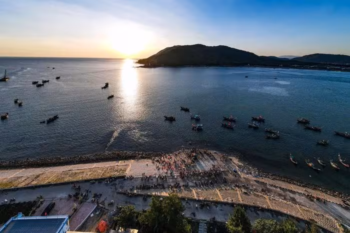 Hà Tĩnh quyết tâm gỡ “thẻ vàng” EC: Siết chặt quản lý IUU và truy xuất nguồn gốc