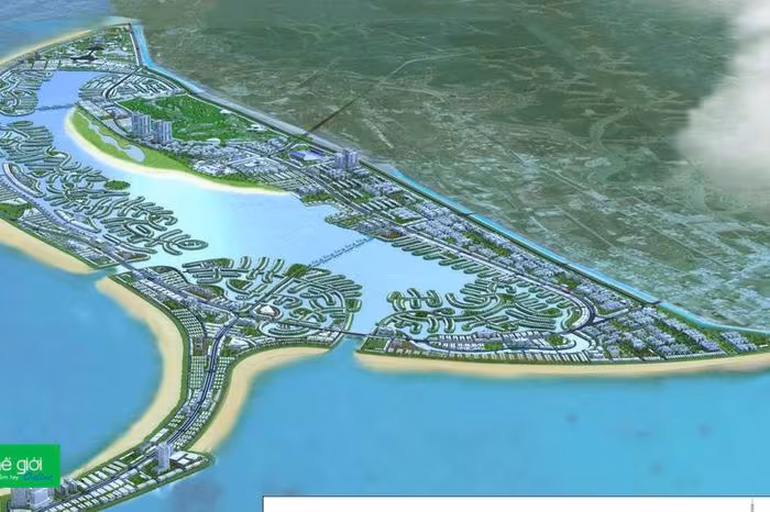 Cần Giờ: Chiến lược đô thị biển bền vững và bài toán bảo tồn rừng