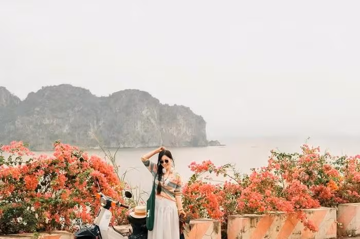 Cát Bà Bùng Nổ Du Lịch Lễ Giỗ Tổ: Sự Trỗi Dậy Của Kinh Tế Đêm Và Sinh Thái