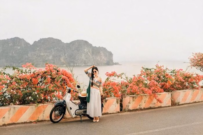 Du kh&aacute;ch check-in con đường hoa giấy rực rỡ ven biển C&aacute;t B&agrave;