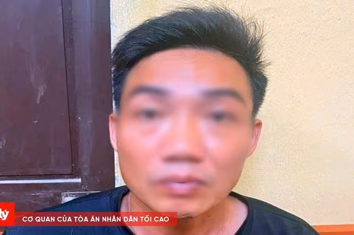 Ninh Bình: Bắt giữ nhanh đối tượng sát hại người phụ nữ bán thịt lợn