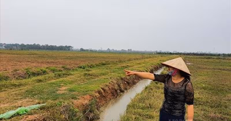 Hợp Thửa Và Chuyển Mục Đích Sử Dụng Đất: Những Lưu Ý Vàng Năm 2024