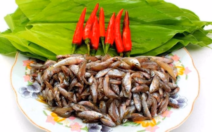 Đ&agrave;n c&aacute; rầm nhỏ li ti được đ&aacute;nh bắt v&agrave;o cuối m&ugrave;a lũ miền Trung