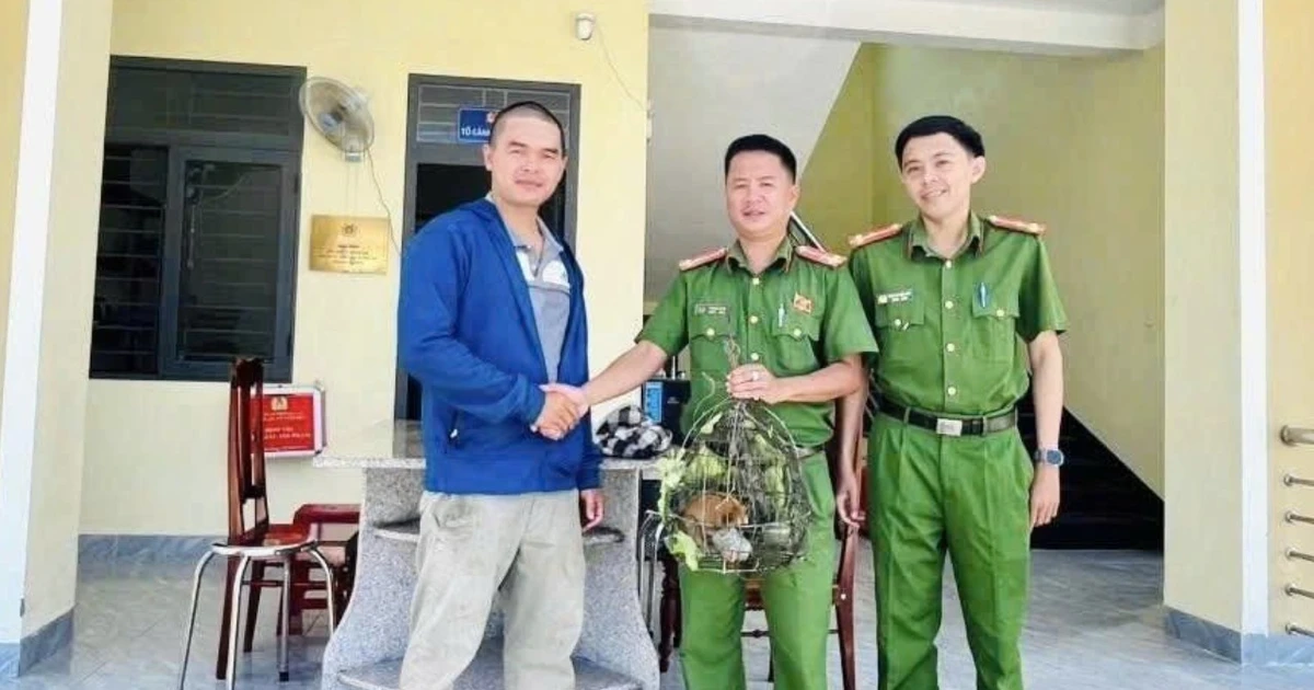Gia Lai: Phát hiện cá thể cu li quý hiếm đi lạc vào khu dân cư