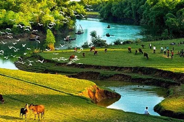 Ký Ức Mùa Hạ: Nơi Lưu Giữ Những Mảnh Ghép Tuổi Thơ Trong Trẻo