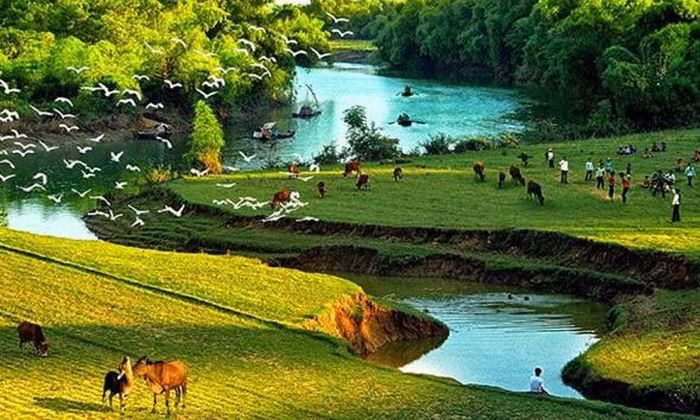 K&yacute; ức m&ugrave;a hạ tuổi thơ b&ecirc;n gốc c&acirc;y gi&agrave; v&agrave; nắng v&agrave;ng