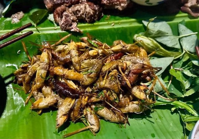 M&oacute;n muồm muỗm chi&ecirc;n gi&ograve;n rắc l&aacute; chanh hấp dẫn