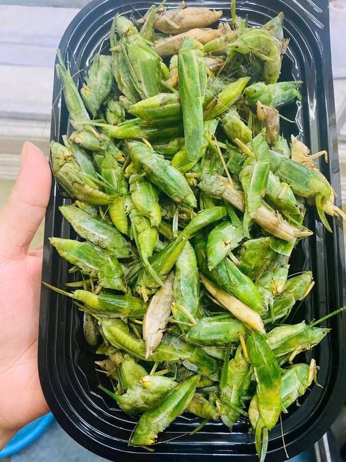 Muồm muỗm xanh đặc sản qu&yacute; hiếm