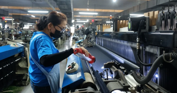 Bẫy lừa đảo việc làm trực tuyến: Lao động trung niên cần tỉnh táo