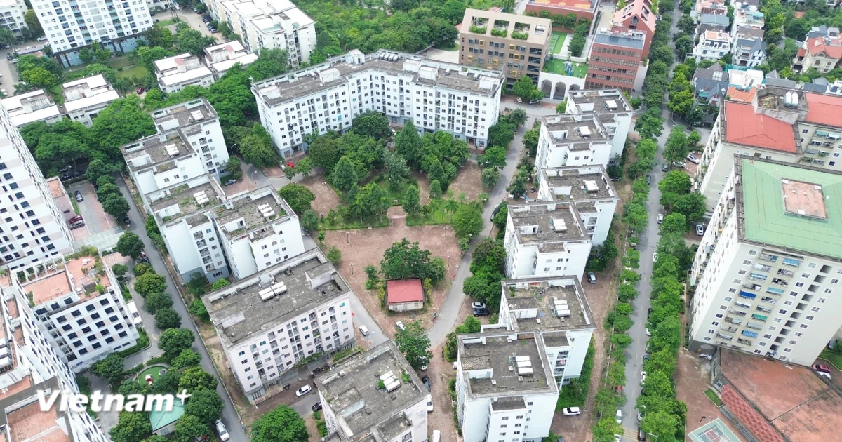 Giải mã “Điểm Nghẽn” Nhà ở Xã hội: Vì Sao “Luồng Xanh” Vẫn Chậm Trễ?