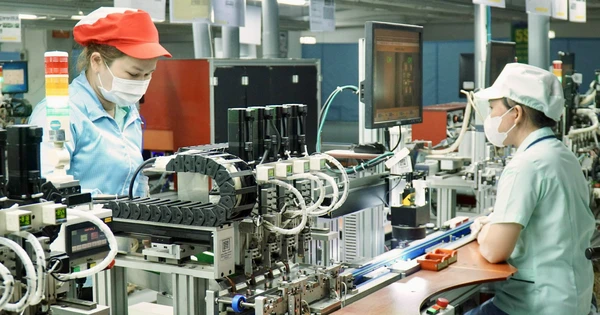 Giải Pháp Nâng Cao Năng Suất Lao Động: Từ Tự Động Hóa Đến Tư Duy Sáng Tạo