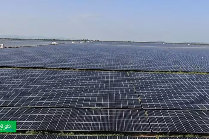 Hai ‘ông lớn’ năng lượng Xuân Thiện và Đại Trường Thành bị phạt: Bài học về tuân thủ công bố thông tin