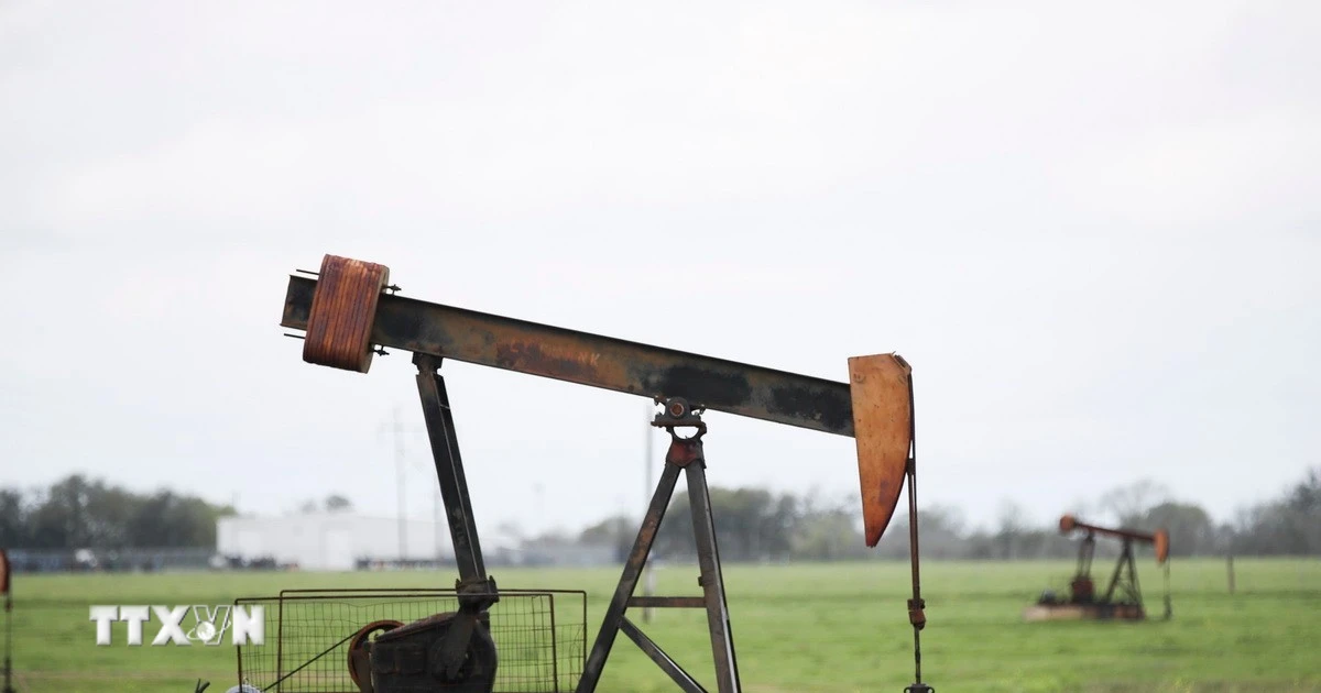 Vị thế siêu cường năng lượng của Mỹ: Khi Washington thay thế OPEC điều tiết thế giới