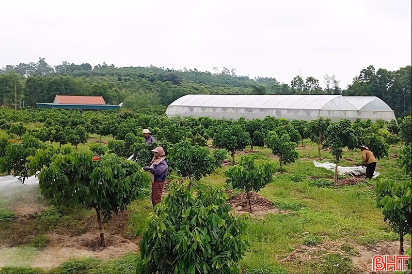 Hội viên nông dân Hà Tĩnh được tạo điều kiện thuận lợi để đầu tư mở rộng sản xuất, áp dụng công nghệ hiện đại và nâng cao chất lượng, giá trị nông sản.