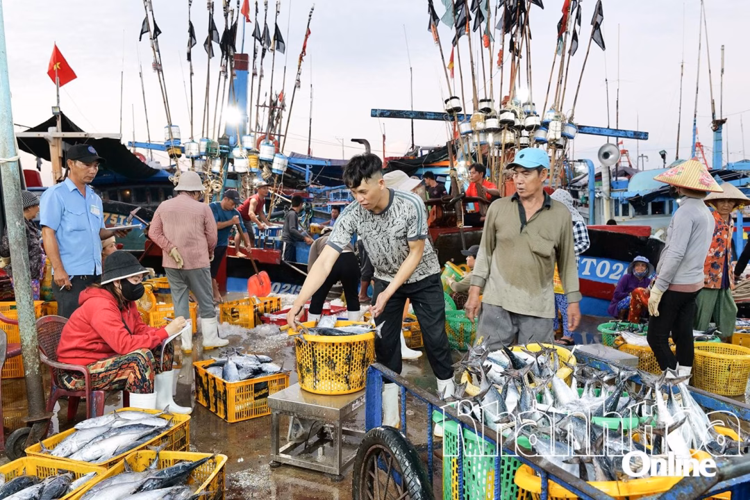 Vận chuyển hải sản tại Cảng cá Đông Hải (phường Đông Hải).