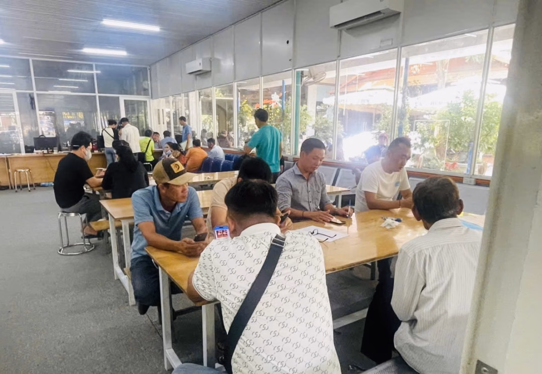Dự báo đất nền phía Nam Dự báo đất nền phía Nam