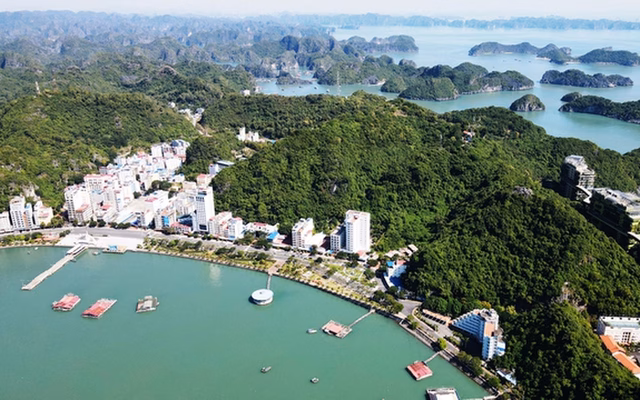 Xanh Island Cát Bà Xanh Island Cát Bà