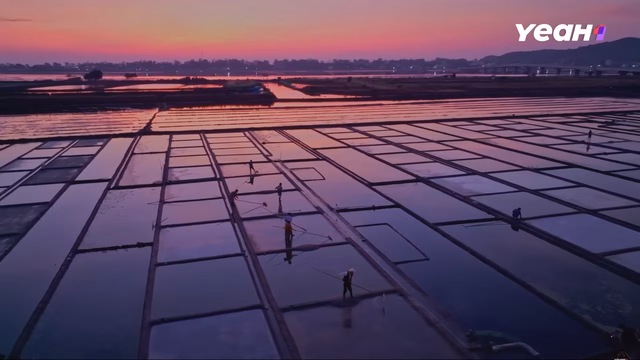 Một cơn mưa cũng có thể khiến toàn bộ ruộng muối rộng lớn thất thu - Ảnh: CHỤP MÀN HÌNH