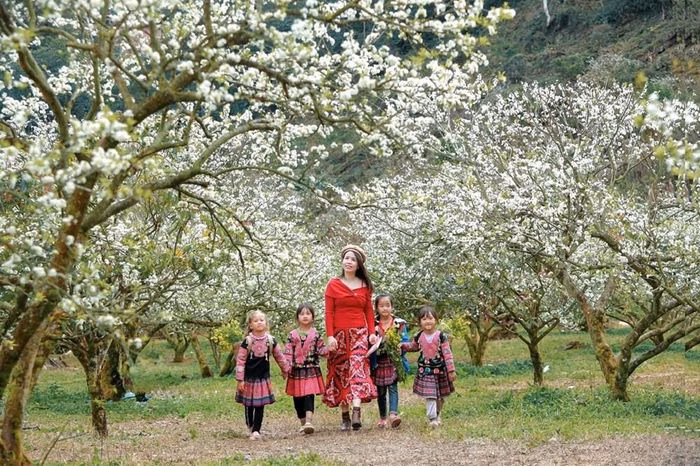 Chương tr&igrave;nh du lịch &ldquo;Hẹn ước m&ugrave;a hoa&rdquo; 2026