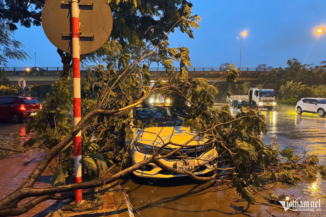 Hà Nội: Cây đổ, tôn bay sau mưa giông lớn