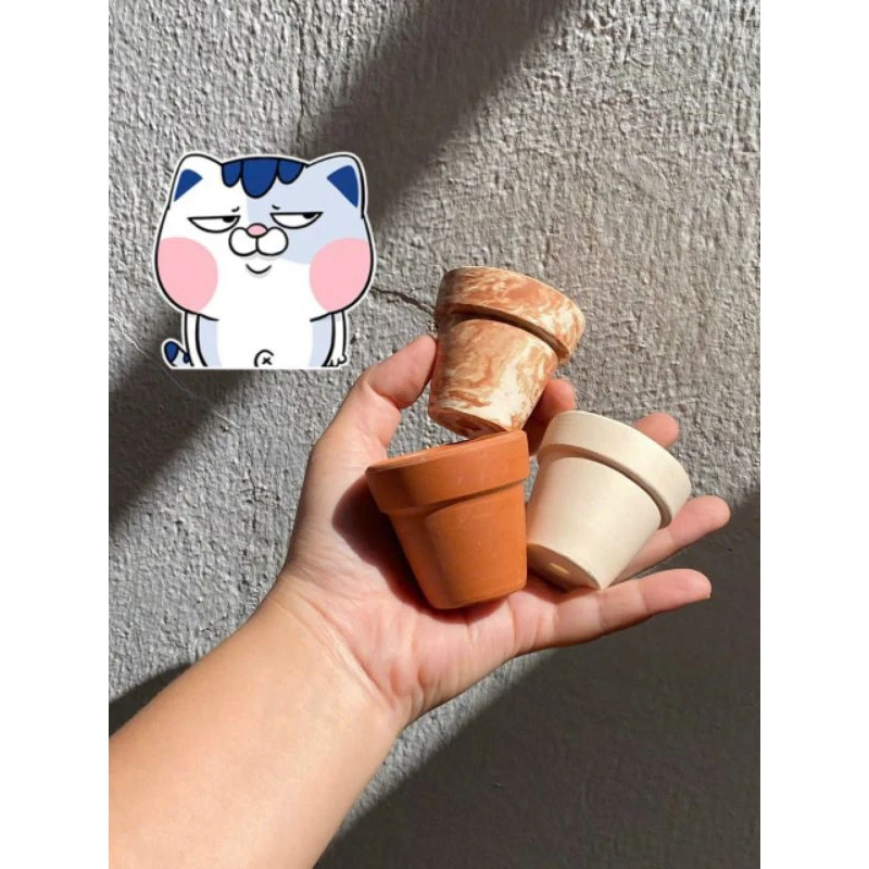 Mua chậu đất nung nhỏ để trồng sen đá, xương rồng: 3 điều người mới nên tránh để cây luôn tươi tốt