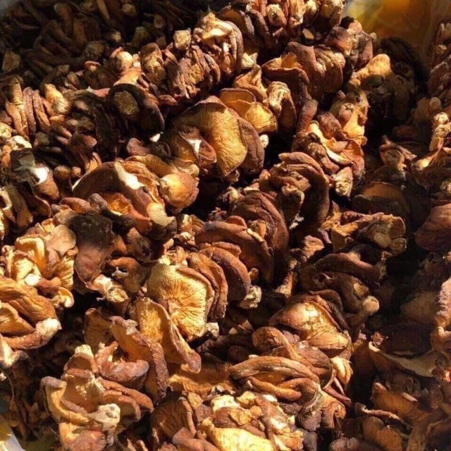 Làm thế nào để nấm hương rừng khô Tây Bắc giữ được hương vị tự nhiên khi nấu ăn?