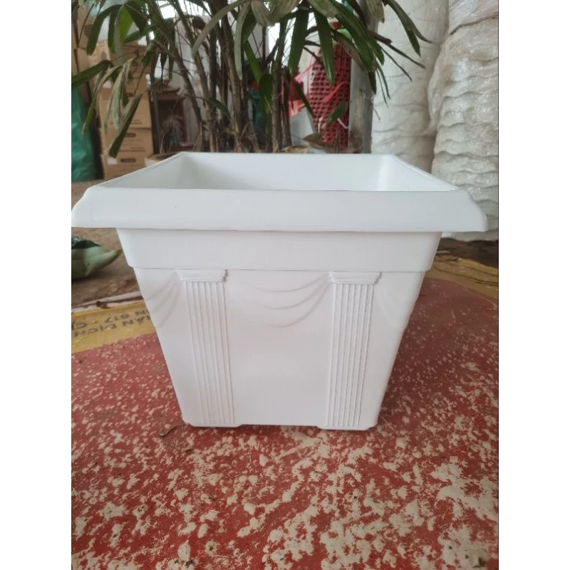 Làm sao để chậu vuông hoa văn trở thành điểm nhấn trong không gian sống của bạn?