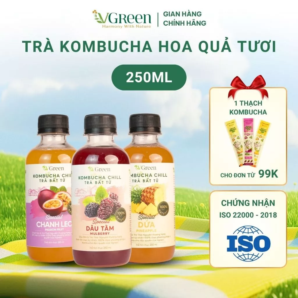 Lợi ích bất ngờ của trà kombucha mà bạn có thể chưa biết – Làm thế nào để chọn được VKOMBUCHA CHILL phù hợp với bạn?