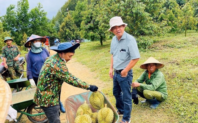 HAGL muốn phát hành cổ phiếu để xử lý nợ trái phiếu HAGL muốn phát hành cổ phiếu để xử lý nợ trái phiếu