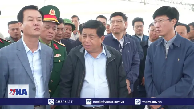 Nhật Bản tăng nhập khẩu gạo miễn thuế từ Mỹ
