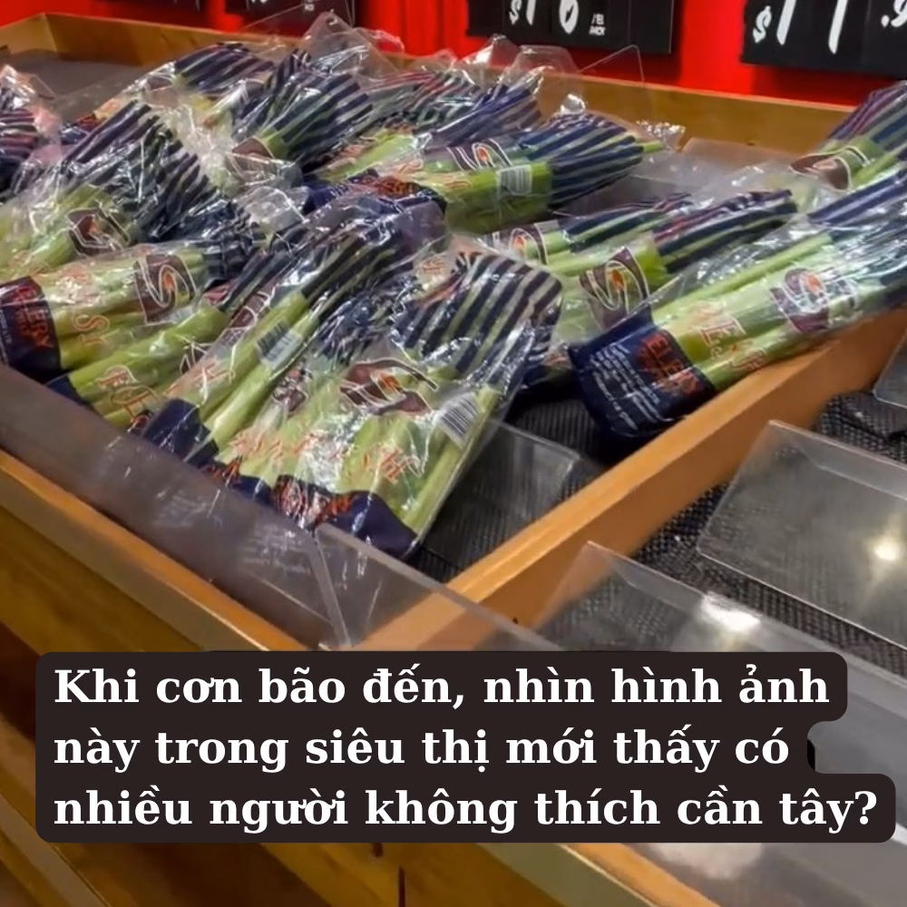 Nhưng rau cần tây vẫn còn rất nhiều.
