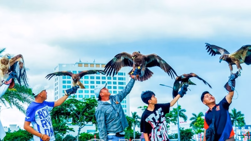Đến tháng 7 năm sau, điều này có thể xảy ra
Ở tỉnh Cà Mau (mới) có 15 người đang nuôi chim đại bàng, diều hâu, chim cú mèo, chim cắt...chuyên săn