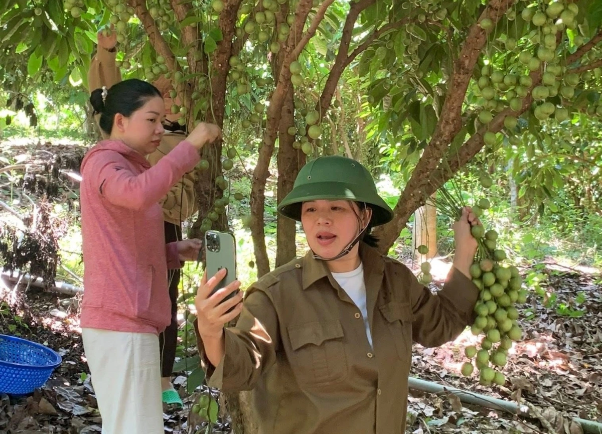 Khánh Hòa: Chuyển đổi số giúp nông sản tiếp cận thị trường nhanh hơn Nhiều loại nông sản của tỉnh Khánh Hòa đã được đưa lên các sàn thương mại điện tử