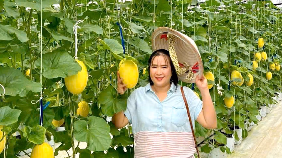 Nông nghiệp số lên ngôi ở Đồng Nai Bà Trần Thị Ninh bên vườn dưa lưới của gia đình. Ảnh: NVCC