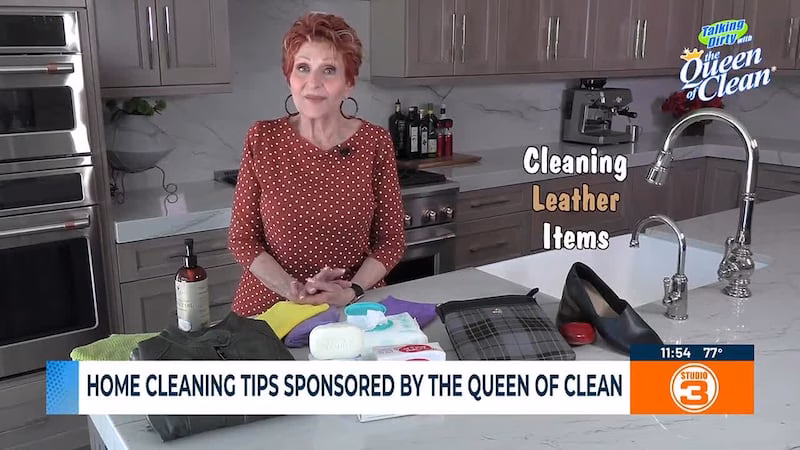 Nữ hoàng dọn dẹp chia sẻ bí quyết vệ sinh cọ trang điểm sạch sẽ Queen of Clean | Cleaning leather items