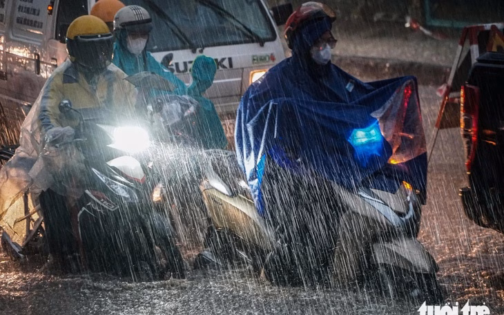 Đà Lạt gió lớn, cây xanh ngã đổ đè nát ô tô Thông ngã đè nát ô tô của du khách đi chơi tại Đà Lạt- Ảnh 6.