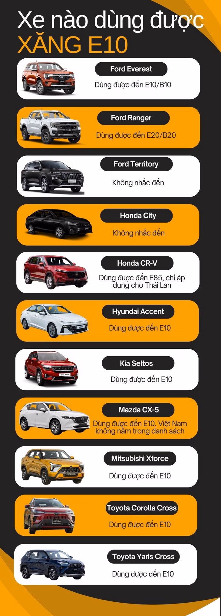 Hàng triệu ô tô có thể dùng xăng sinh học E10, cần kiểm tra trước khi đổ xăng sinh học - Ảnh 6.