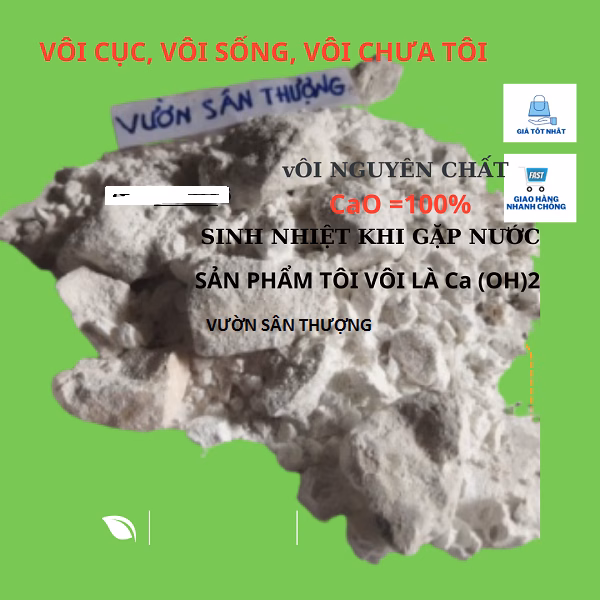 Vôi sống trong chăn nuôi có thực sự diệt được khuẩn và virus?