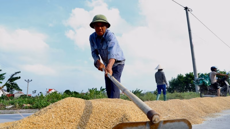 Kim Bôi – Điểm đến tương lai với du lịch sinh thái và đô thị hóa hiện đại
Dân một xã mới của thành phố Hải Phòng sau sáp nhập Hải Dương trồng lúa kiểu gì mà bán thóc, bán gạo ai cũng muốn mua?