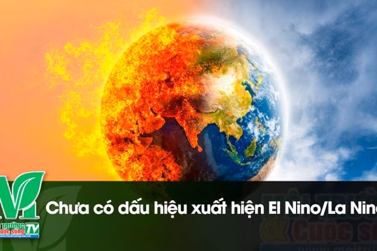 [VIDEO] Chưa có dấu hiệu xuất hiện El Nino/La Nina