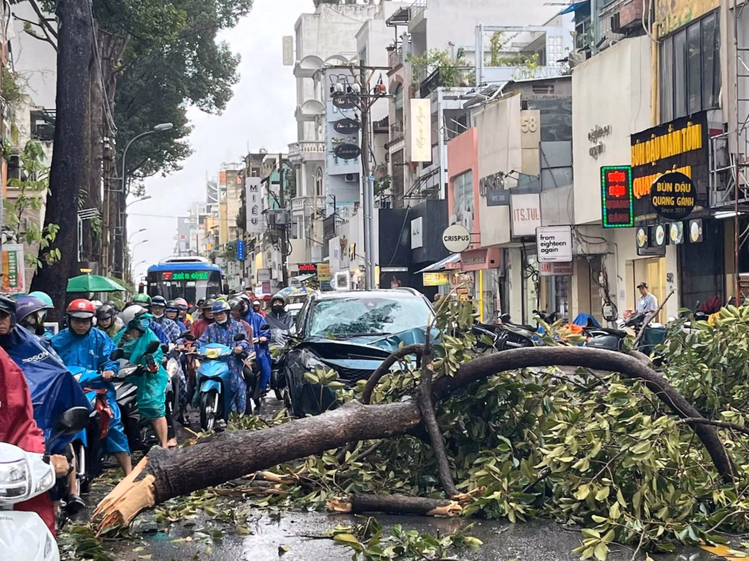 TP HCM: Mưa to gió lớn gây cây xanh ngã đổ, nguy cơ tai nạn Cây ngã liên tiếp trên đường phố TP.HCM sau cơn mưa giông