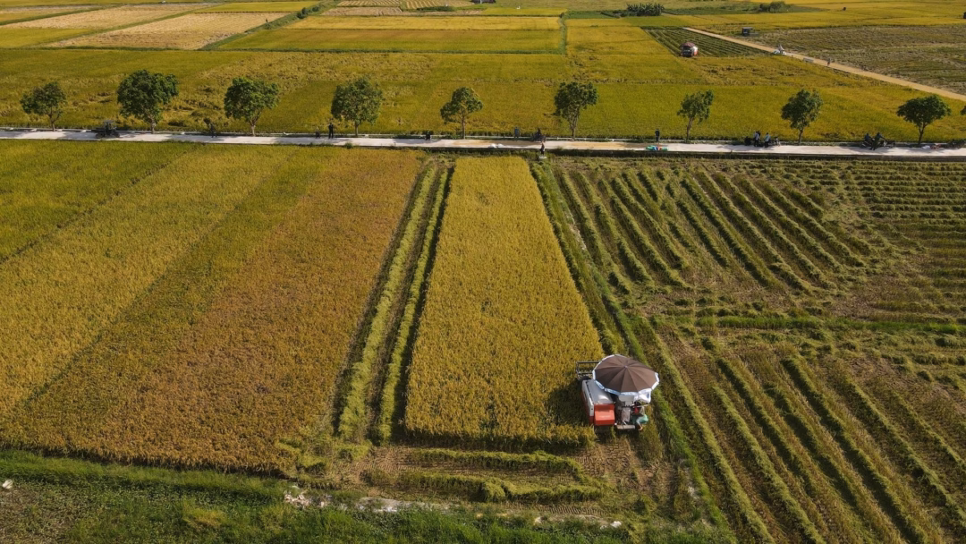 

TS. Nguyễn Tuấn Quang, Phó Cục trưởng Cục Biến đổi khí hậu, Bộ Nông nghiệp và môi trường tại Diễn đàn Net Zero Việt Nam 2025: Thị trường carbon trong kỷ nguyên mới. Ảnh: Hoàng Anh.
