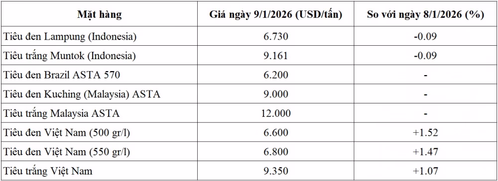 Giá Tiêu Thế Giới Ngày 9/1/2026 Giá tiêu thế giới 9/1/2026