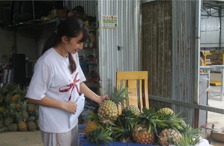 Dứa mật Đam Rông