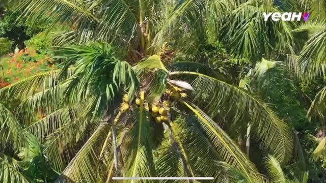 Bùi Công Nam hé lộ đêm nhạc sắp tới, dân mạng hào hứng bình luận